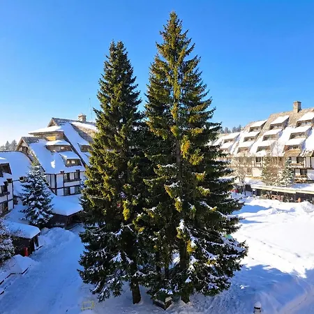 Celestis Konaci 公寓 *