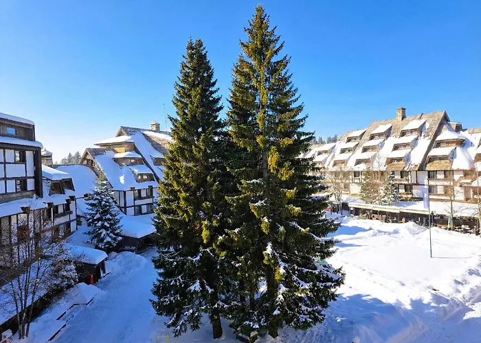 Celestis Konaci 公寓 *