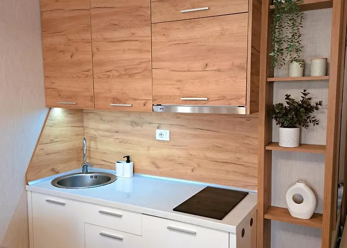 Celestis Konaci 科帕奥尼克