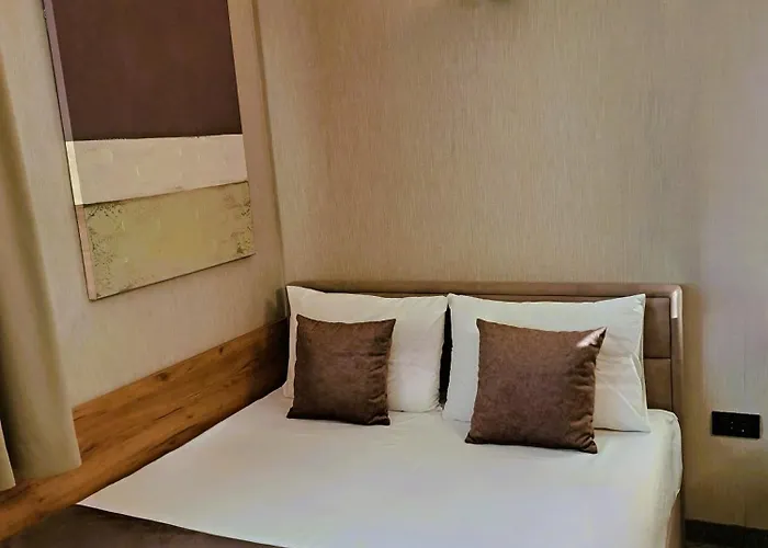 公寓 Celestis Konaci 科帕奥尼克