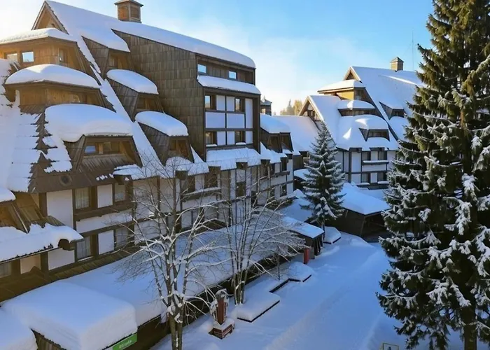 Celestis Konaci 公寓 科帕奥尼克